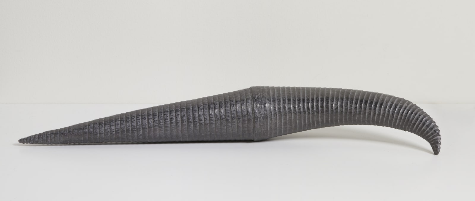 Leslie Bohnenkamp, Coiled Form