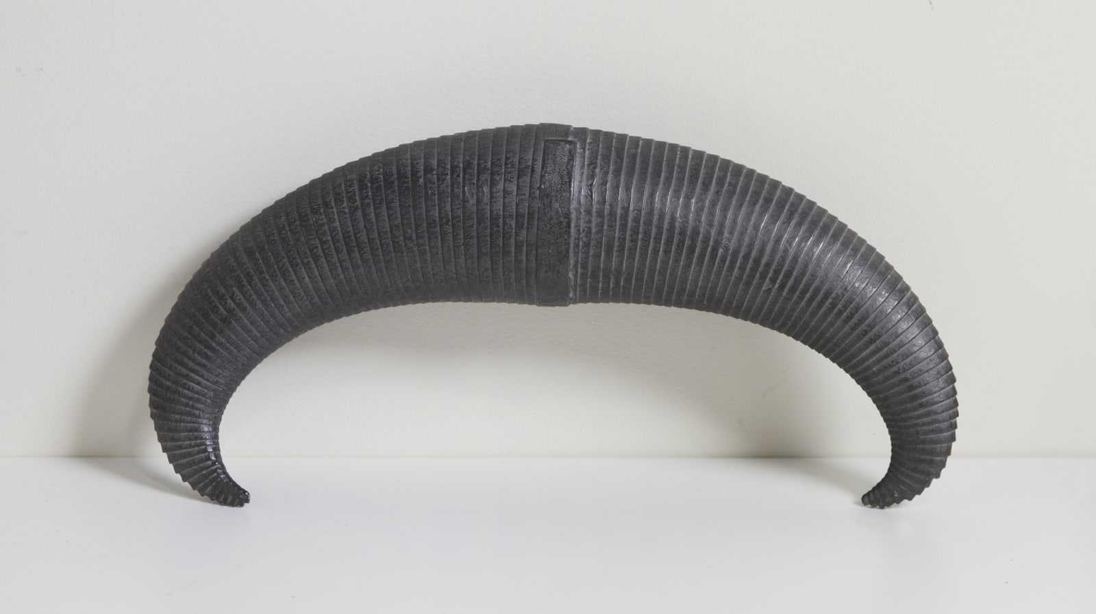 Leslie Bohnenkamp, Coiled Form
