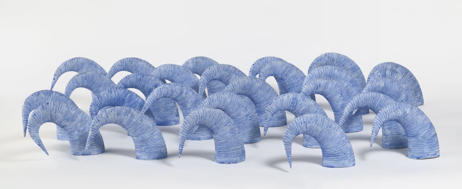 Leslie Bohnenkamp, Blue Herd