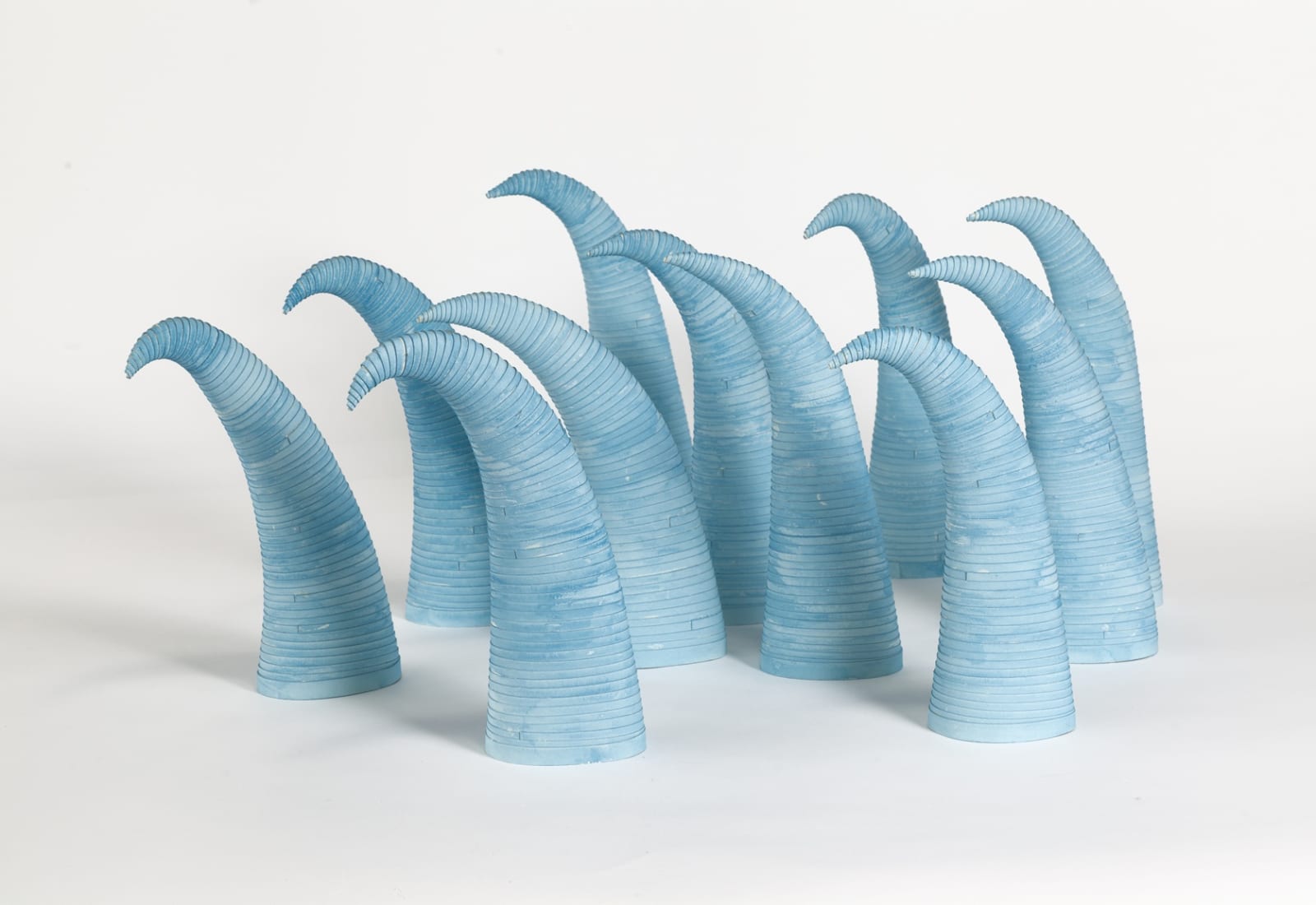 Leslie Bohnenkamp, Blue Ice Herd