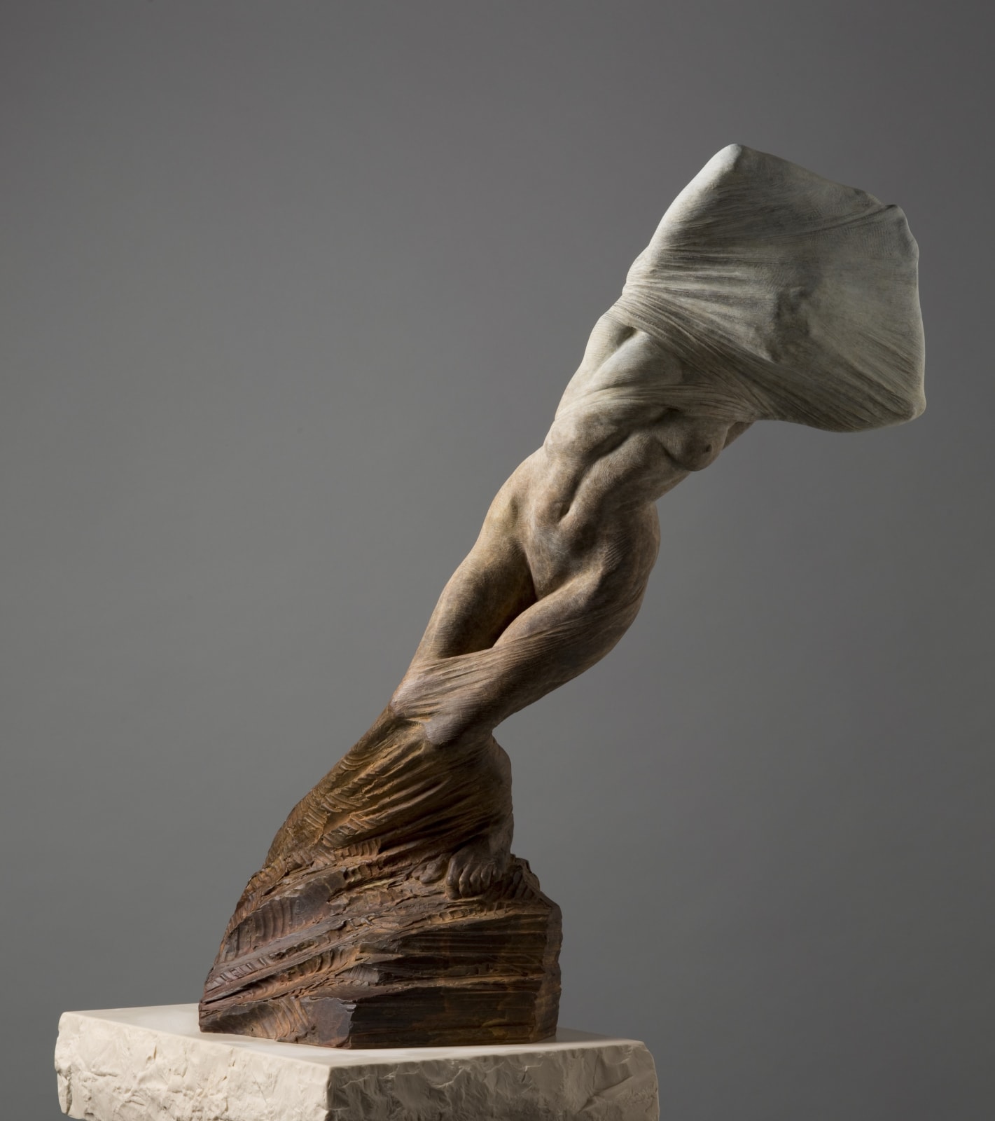 Richard MacDonald, Unveiling Nature, Third life, 2014