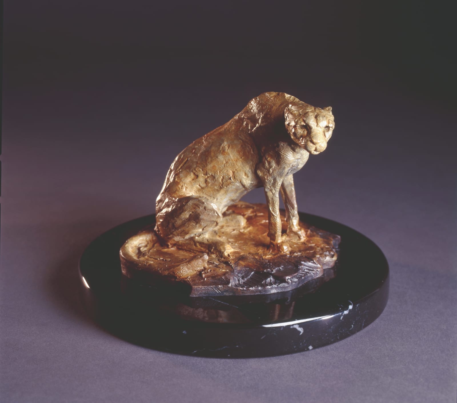Richard MacDonald, Cheetah Study II, 1996