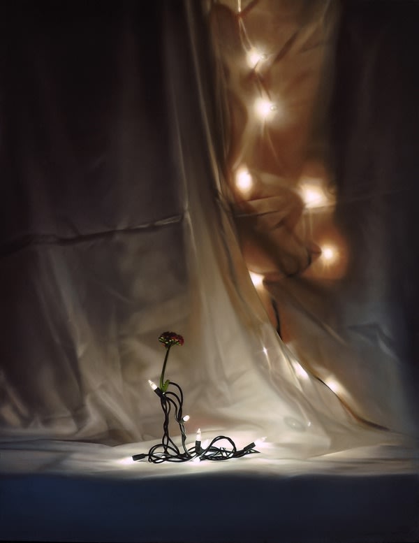 Tom Betts, Climbing Lights & Flower, 2016