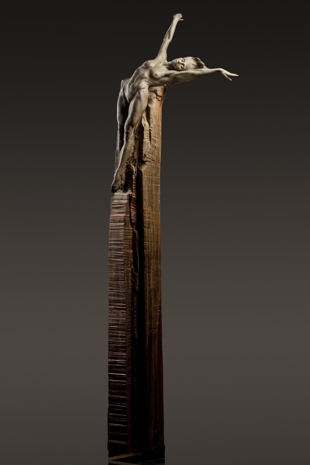 Richard MacDonald, Joy, Half Life, Column, 2012