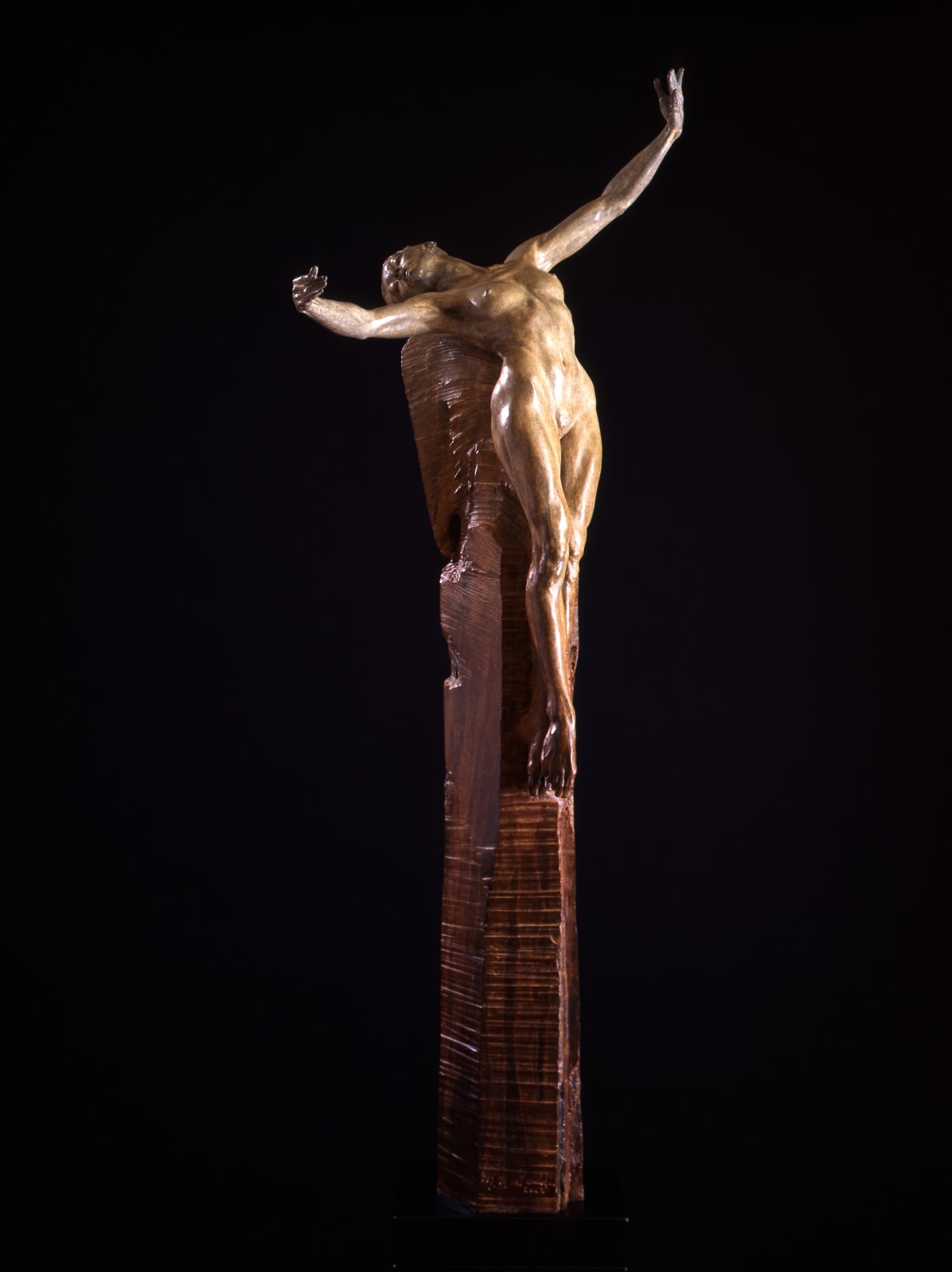 Richard MacDonald, Blossom Half Life, 2003