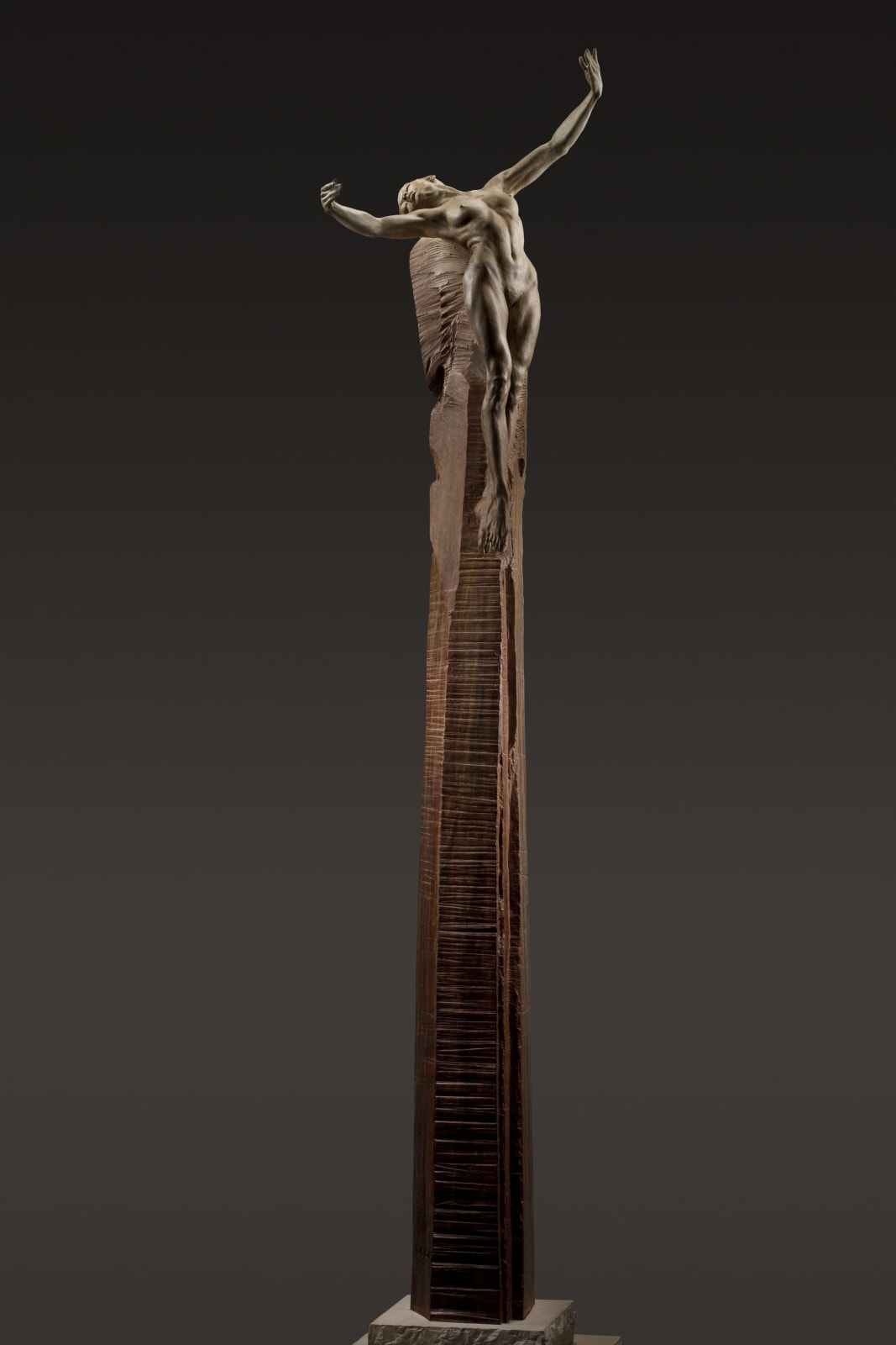 Richard MacDonald, Blossom Half Life, Column, 2012