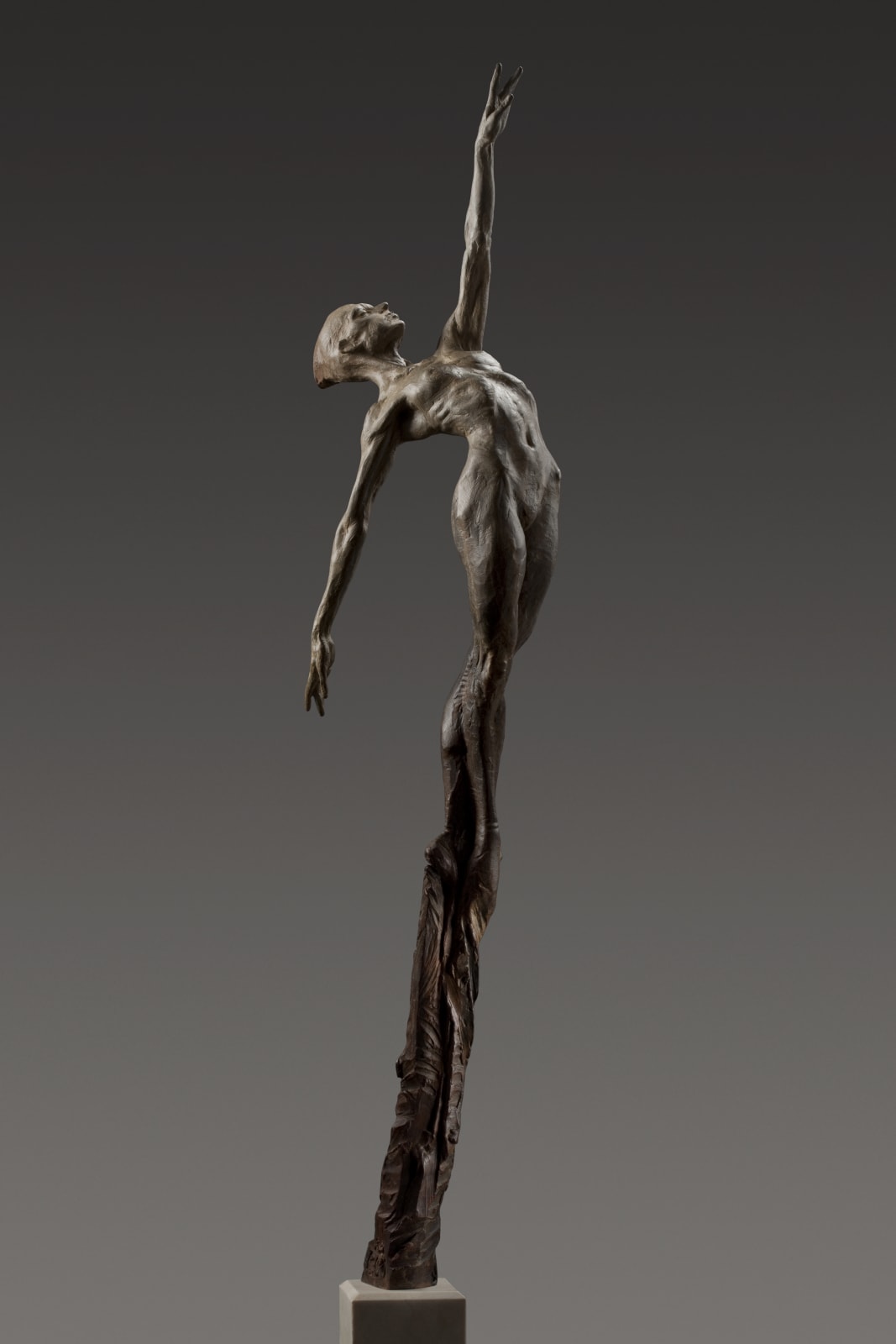 Richard MacDonald, Allonge, Female, 2010