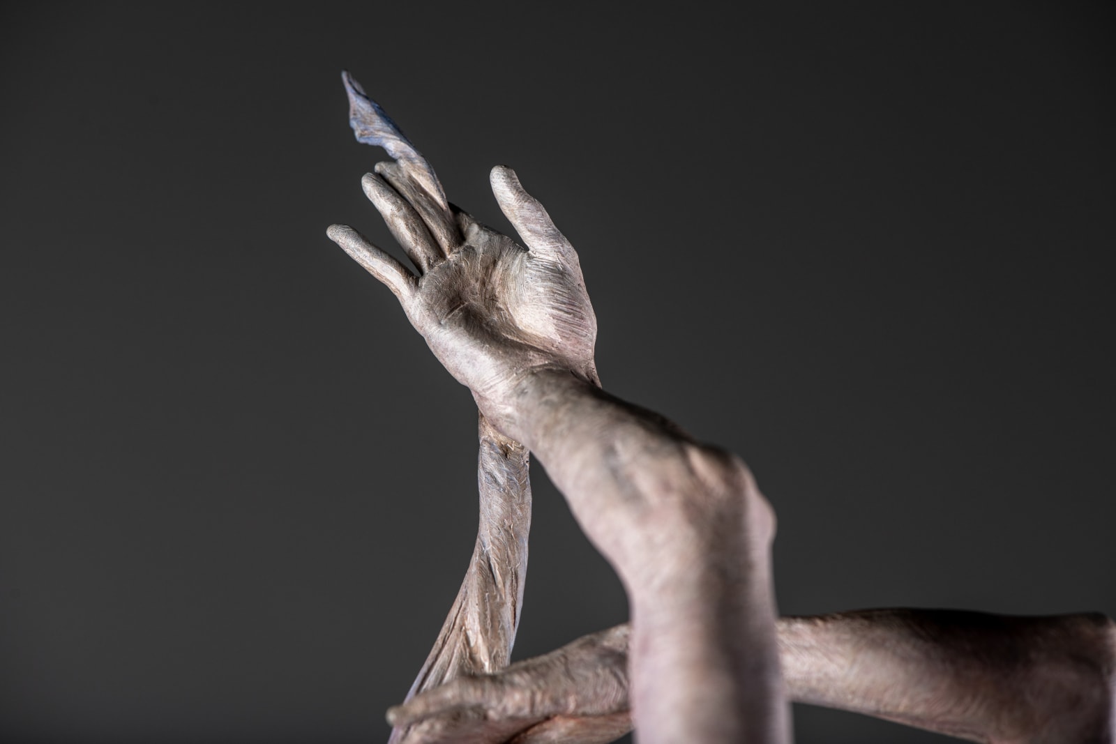 Richard MacDonald , Venus, 2019