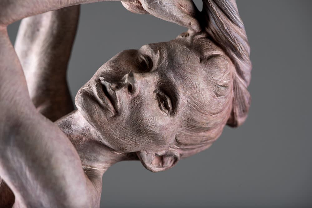 Richard MacDonald , Venus, 2019