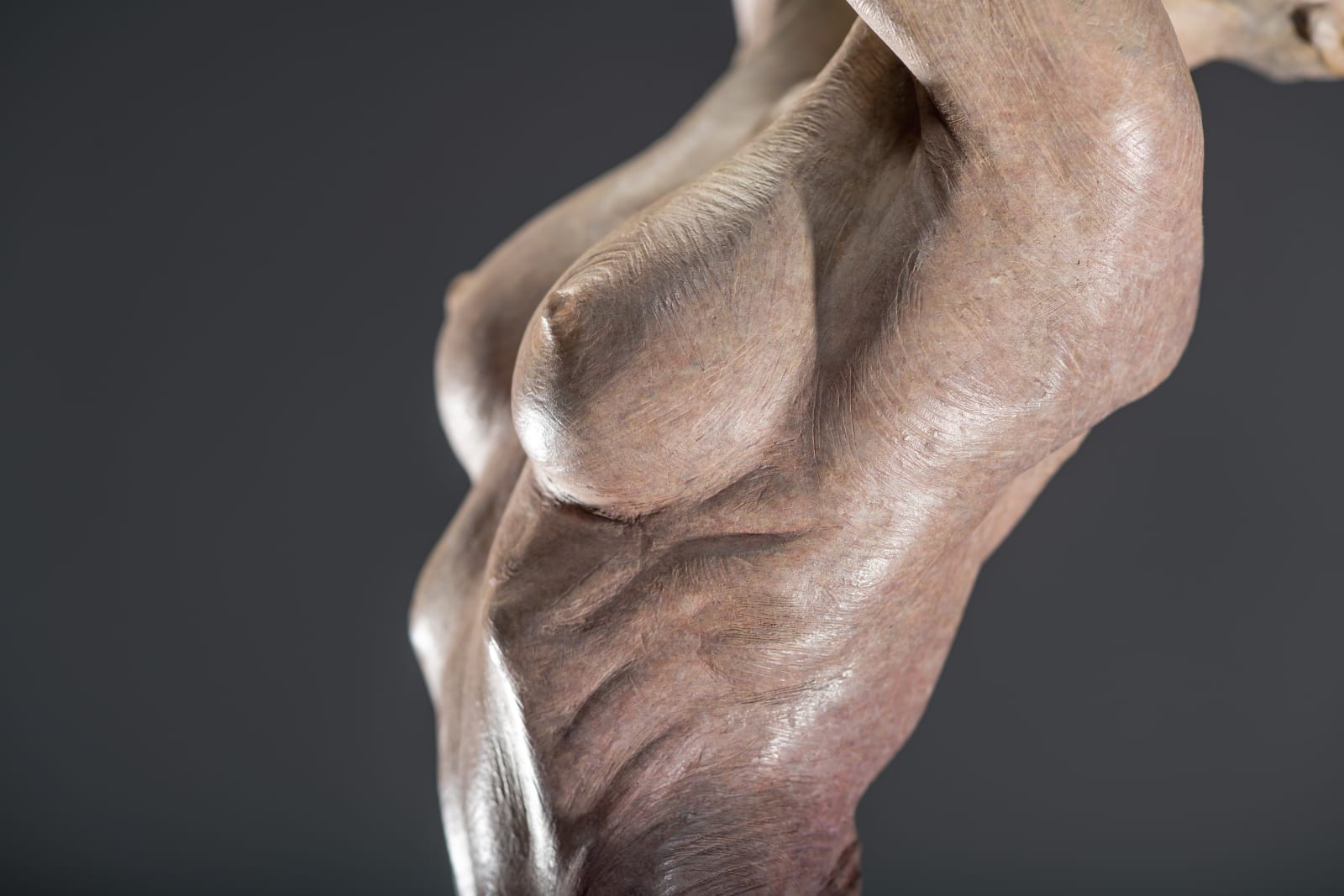 Richard MacDonald , Venus, Column, 2019