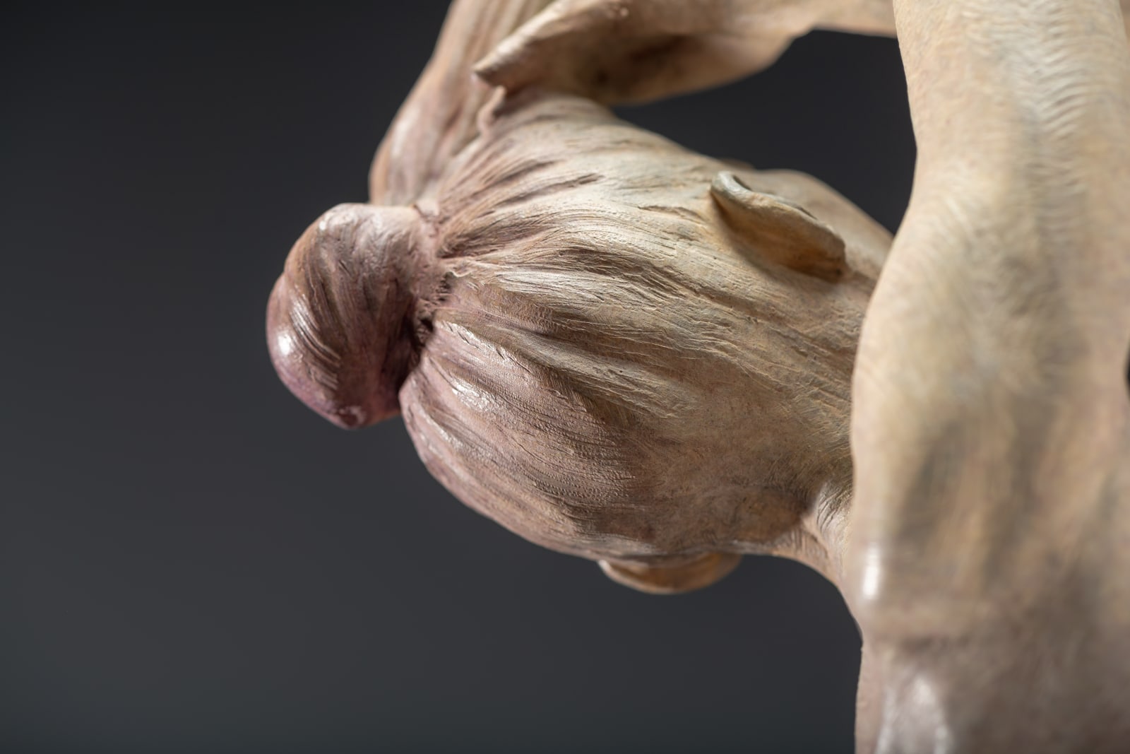 Richard MacDonald , Venus, Column, 2019