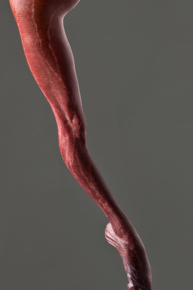 Richard MacDonald, Sissone, Atelier, Red, 2017