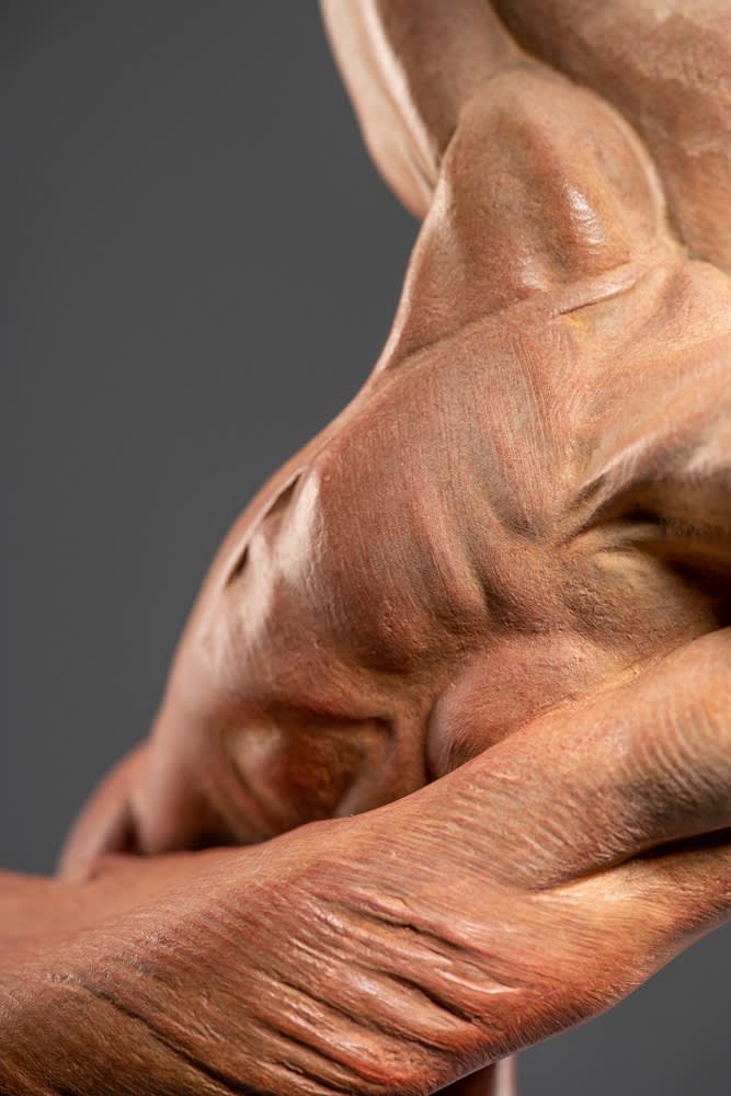 Richard MacDonald, Doves, Atelier, Red, 2015