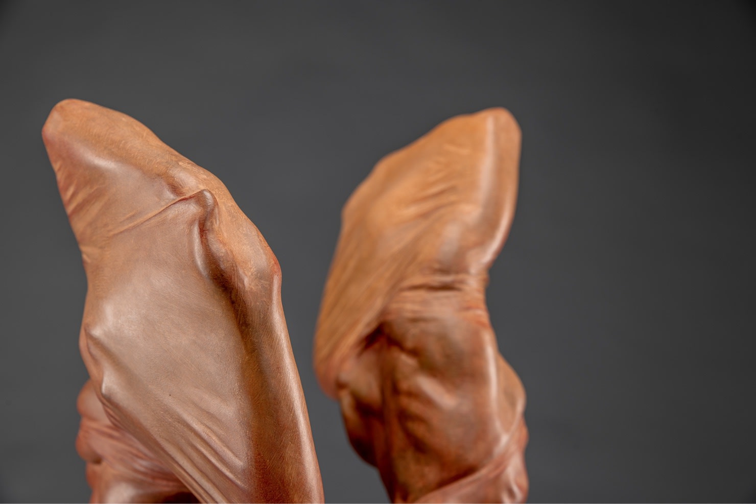 Richard MacDonald , Sisters of Liberation Red, 2015