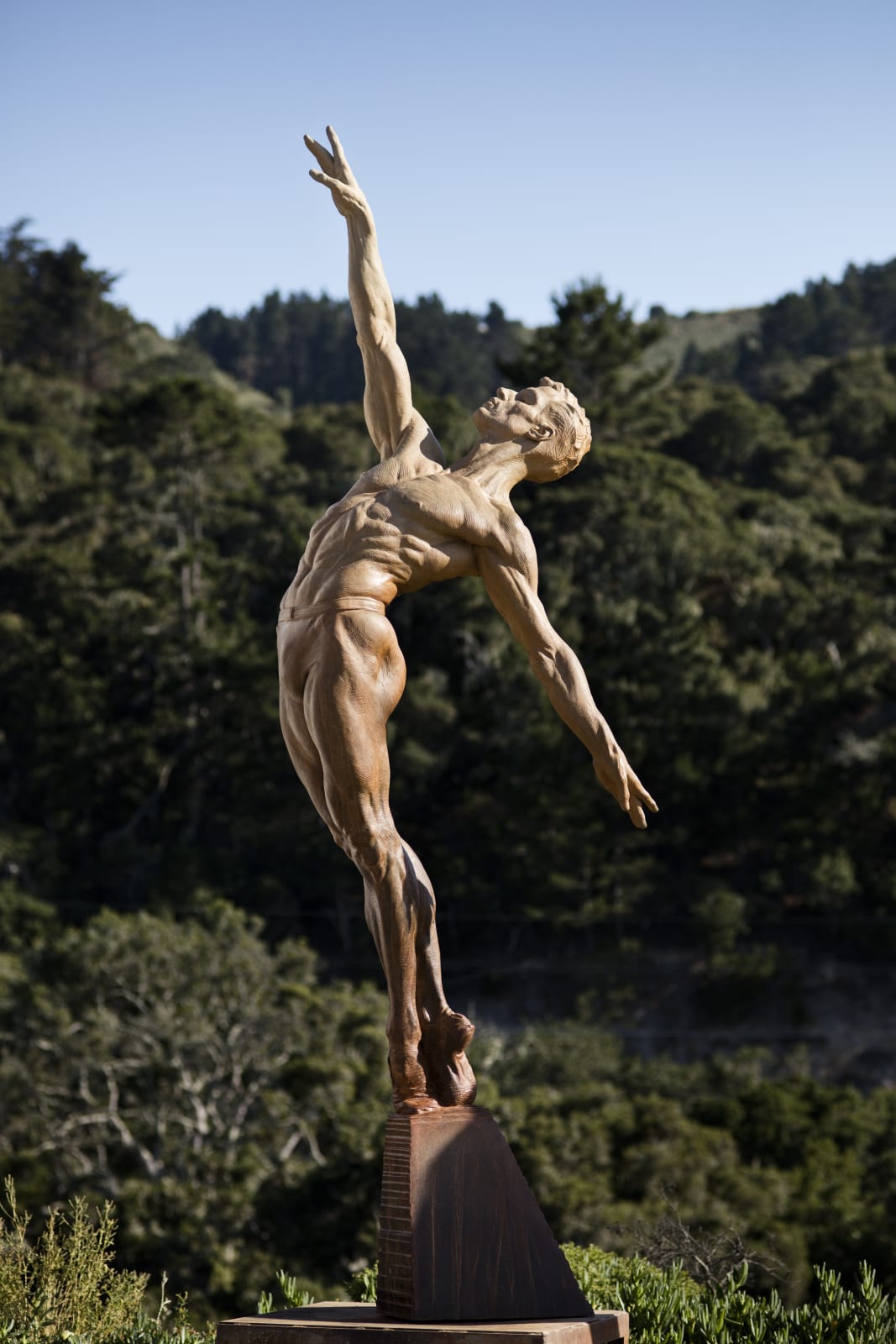 Richard MacDonald , Allonge, Male, Heroic, 2016