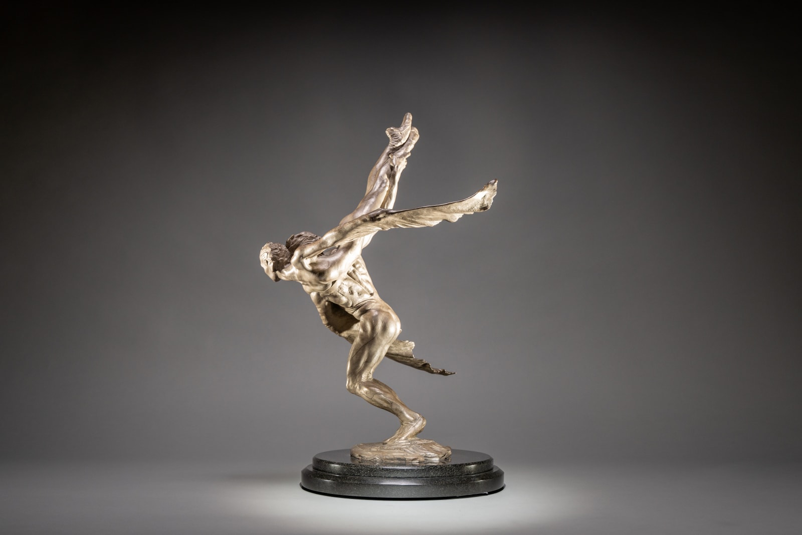 Richard MacDonald, Doves, Third Life, Platinum, 2010