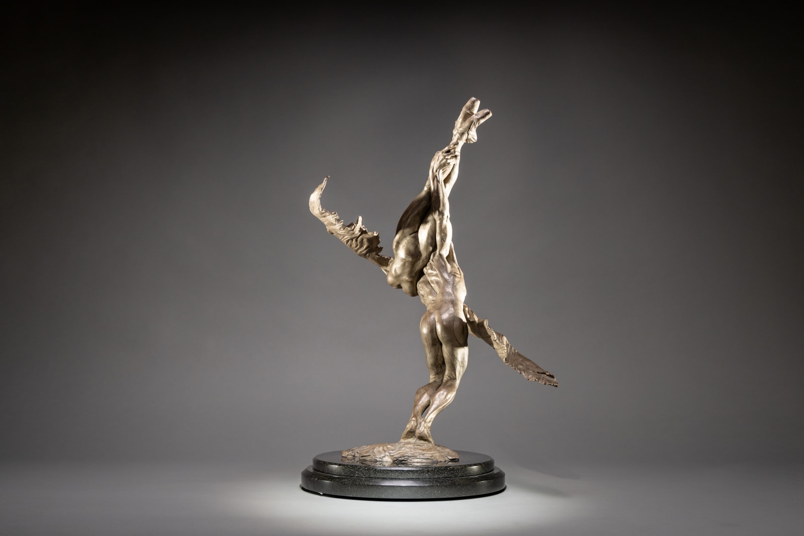Richard MacDonald, Doves, Third Life, Platinum, 2010