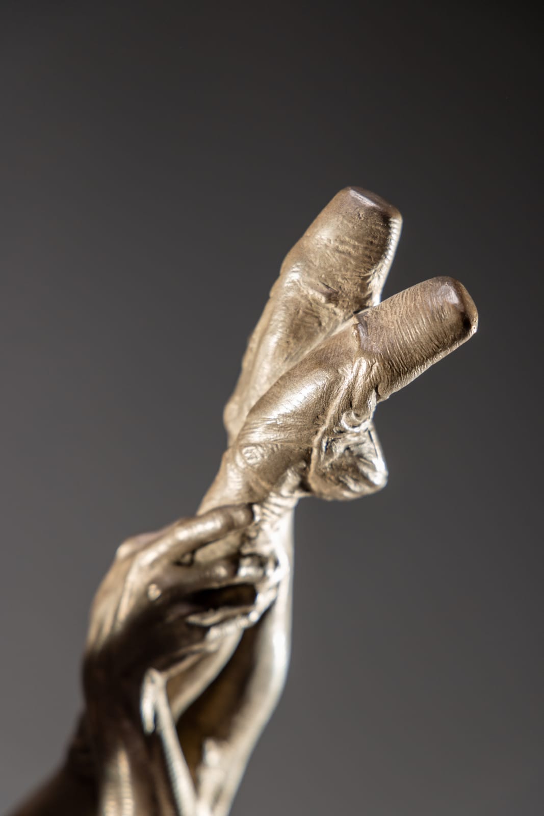 Richard MacDonald, Doves, Third Life, Platinum, 2010