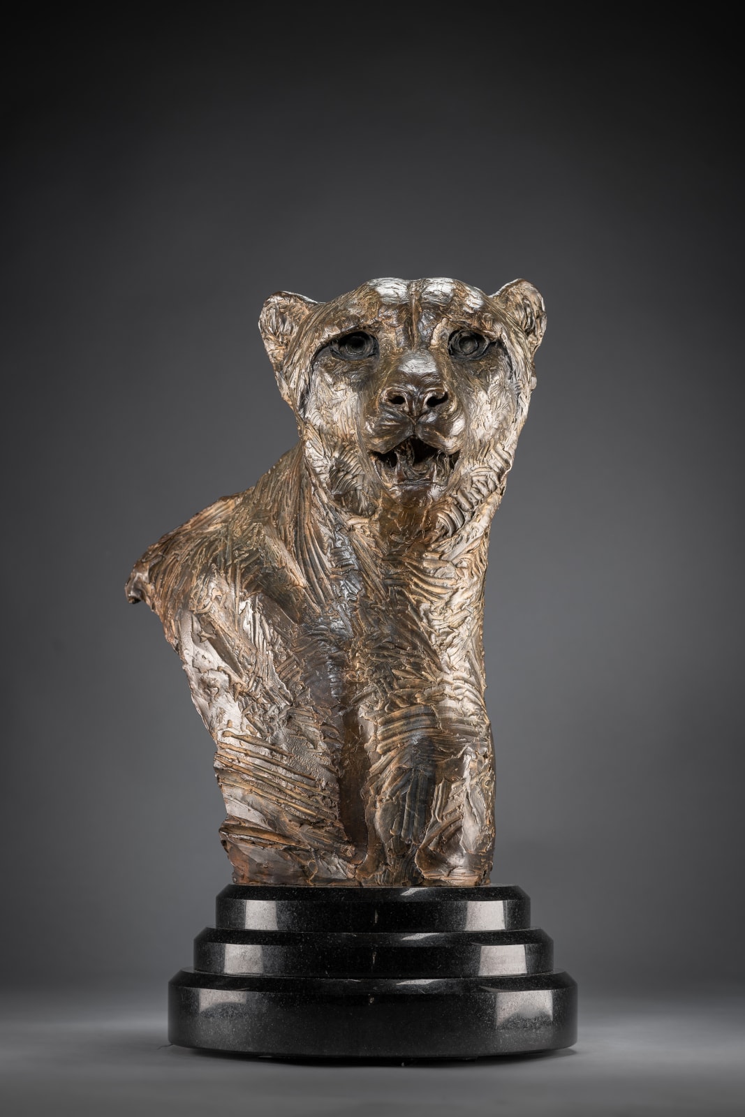 Richard MacDonald, Cheetah Bust, Life Size, 1996