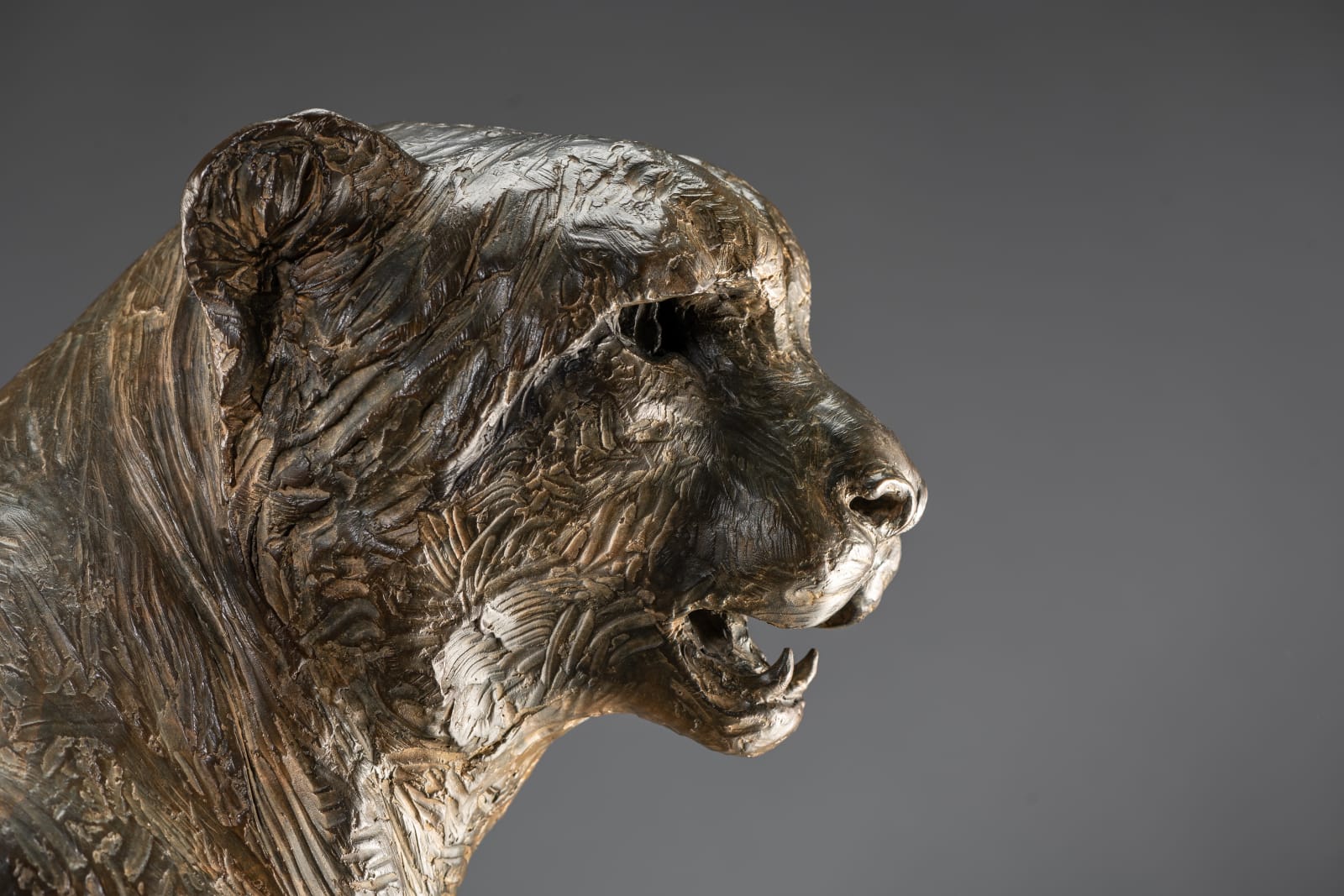 Richard MacDonald, Cheetah Bust, Life Size, 1996