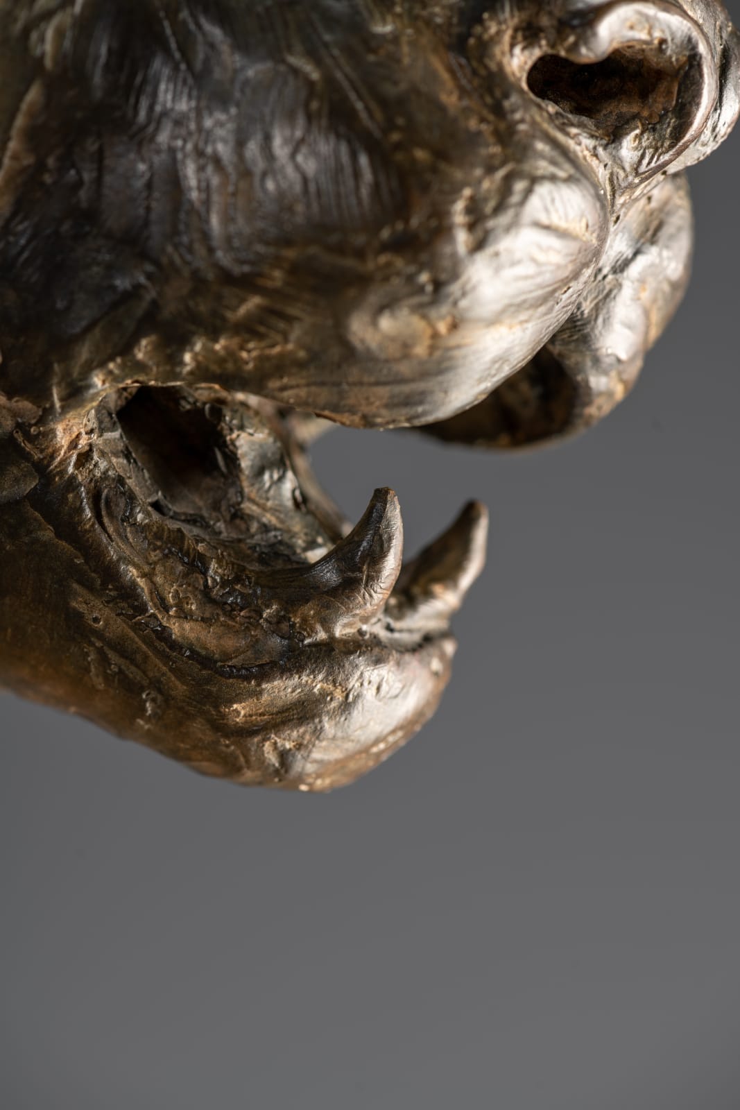 Richard MacDonald, Cheetah Bust, Life Size, 1996