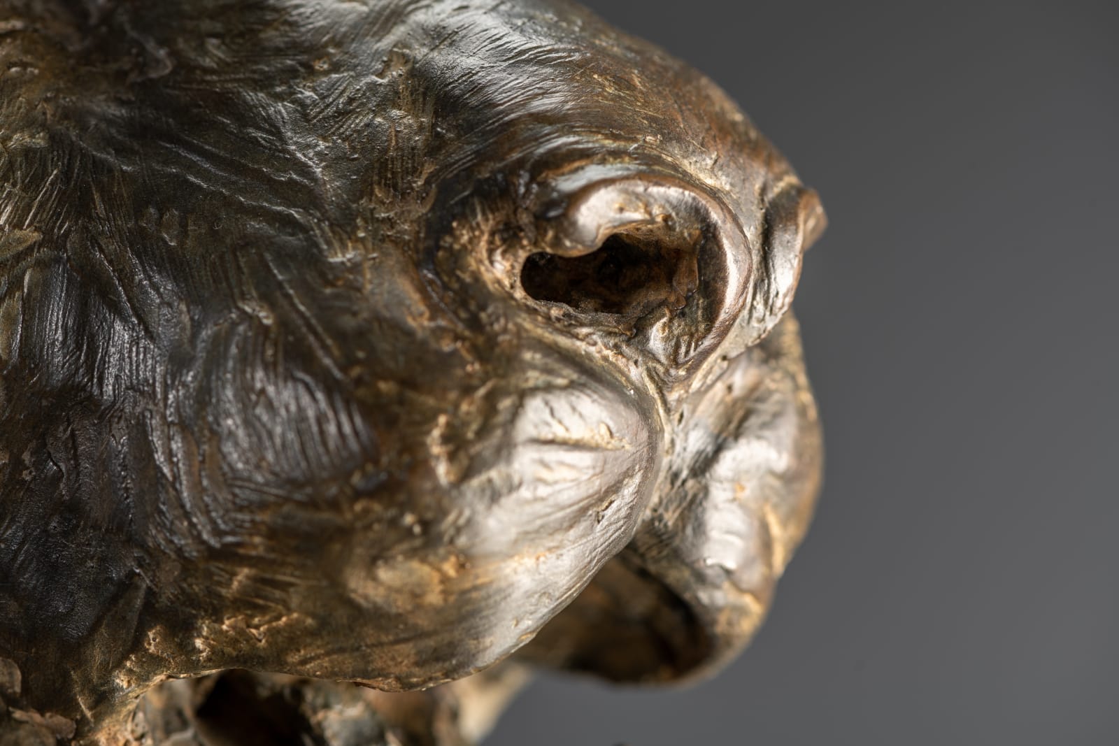 Richard MacDonald, Cheetah Bust, Life Size, 1996