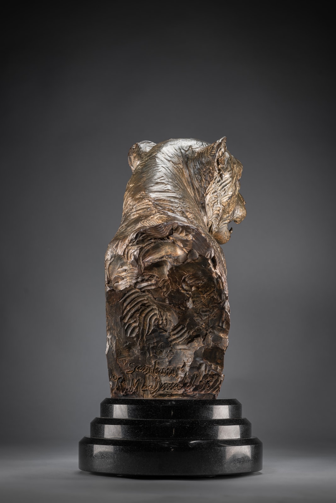 Richard MacDonald, Cheetah Bust, Life Size, 1996