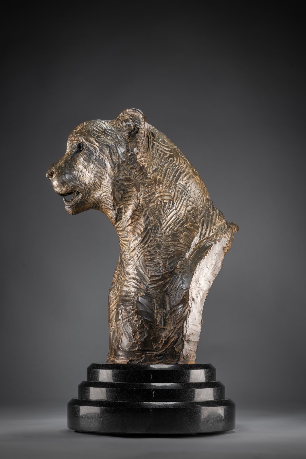 Richard MacDonald, Cheetah Bust, Life Size, 1996
