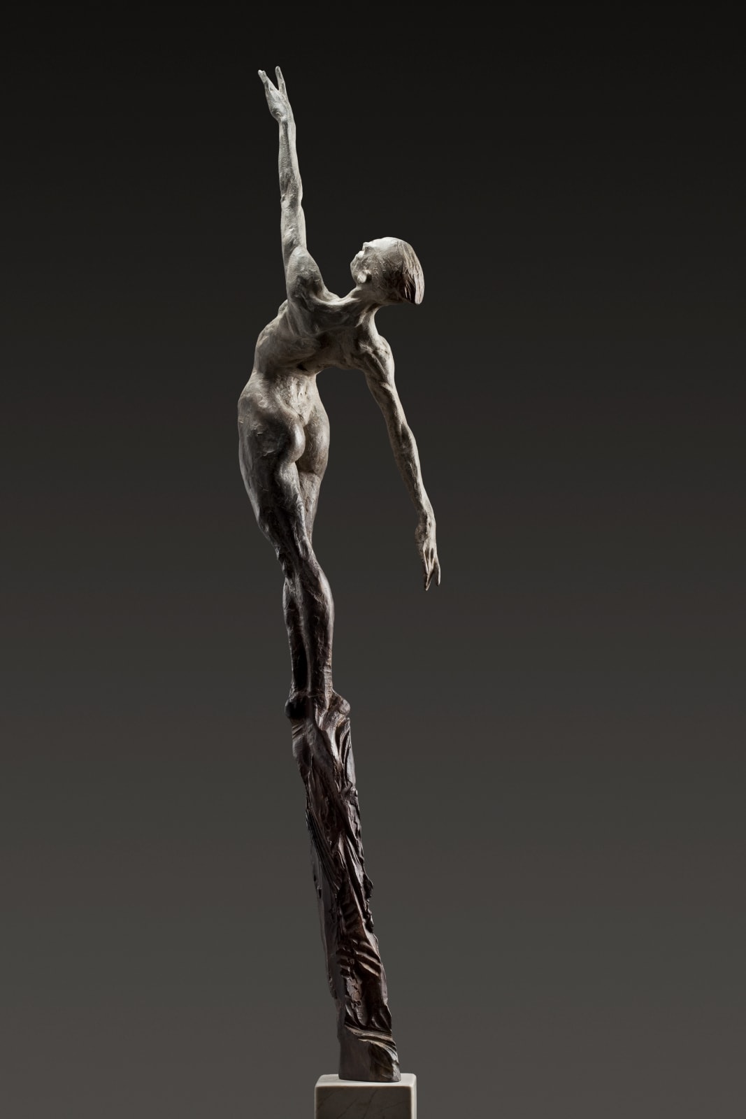 Richard MacDonald, Allonge, Female, 2010