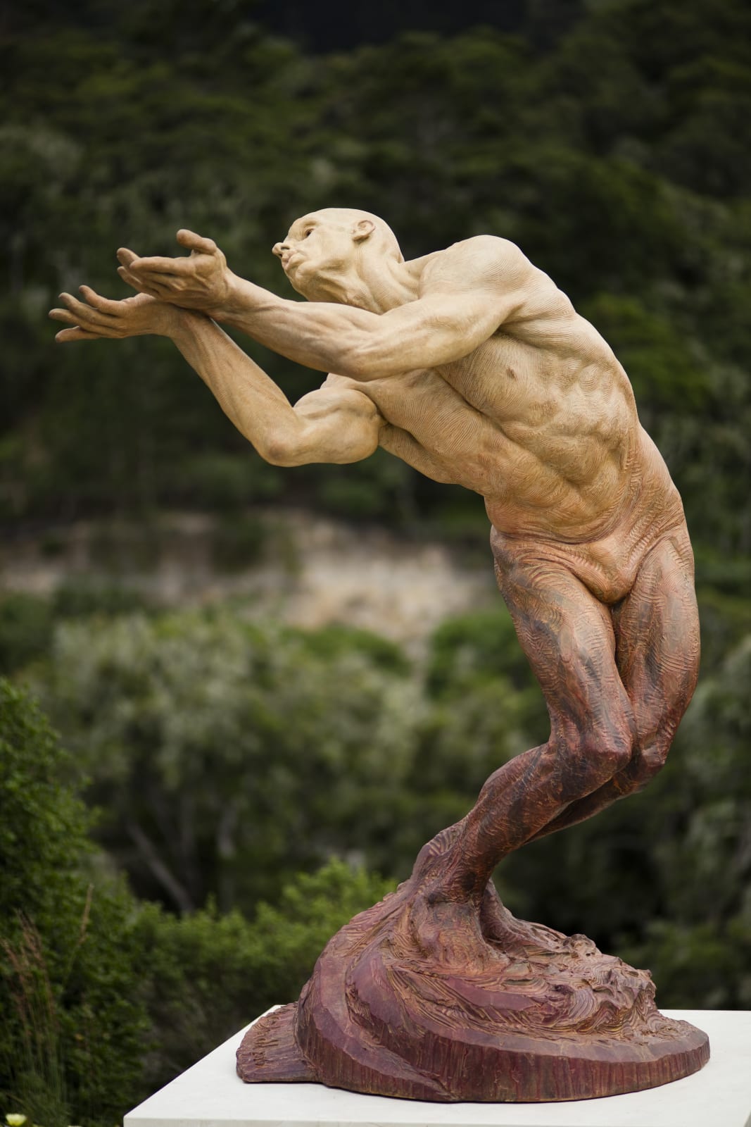 Richard MacDonald , Butterfly, Life, 2007