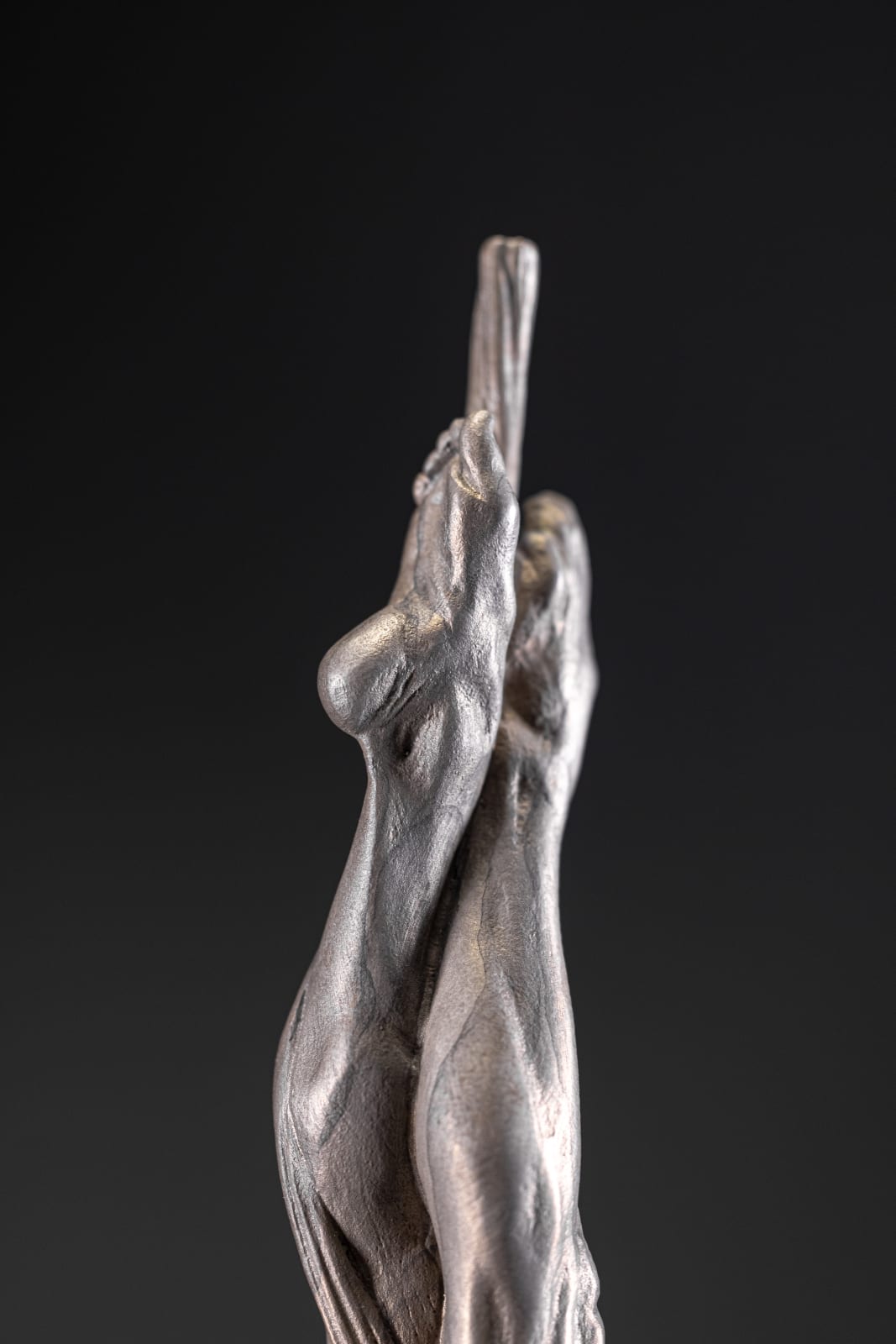 Richard MacDonald, Transcendance, Atelier Platinum, 2020