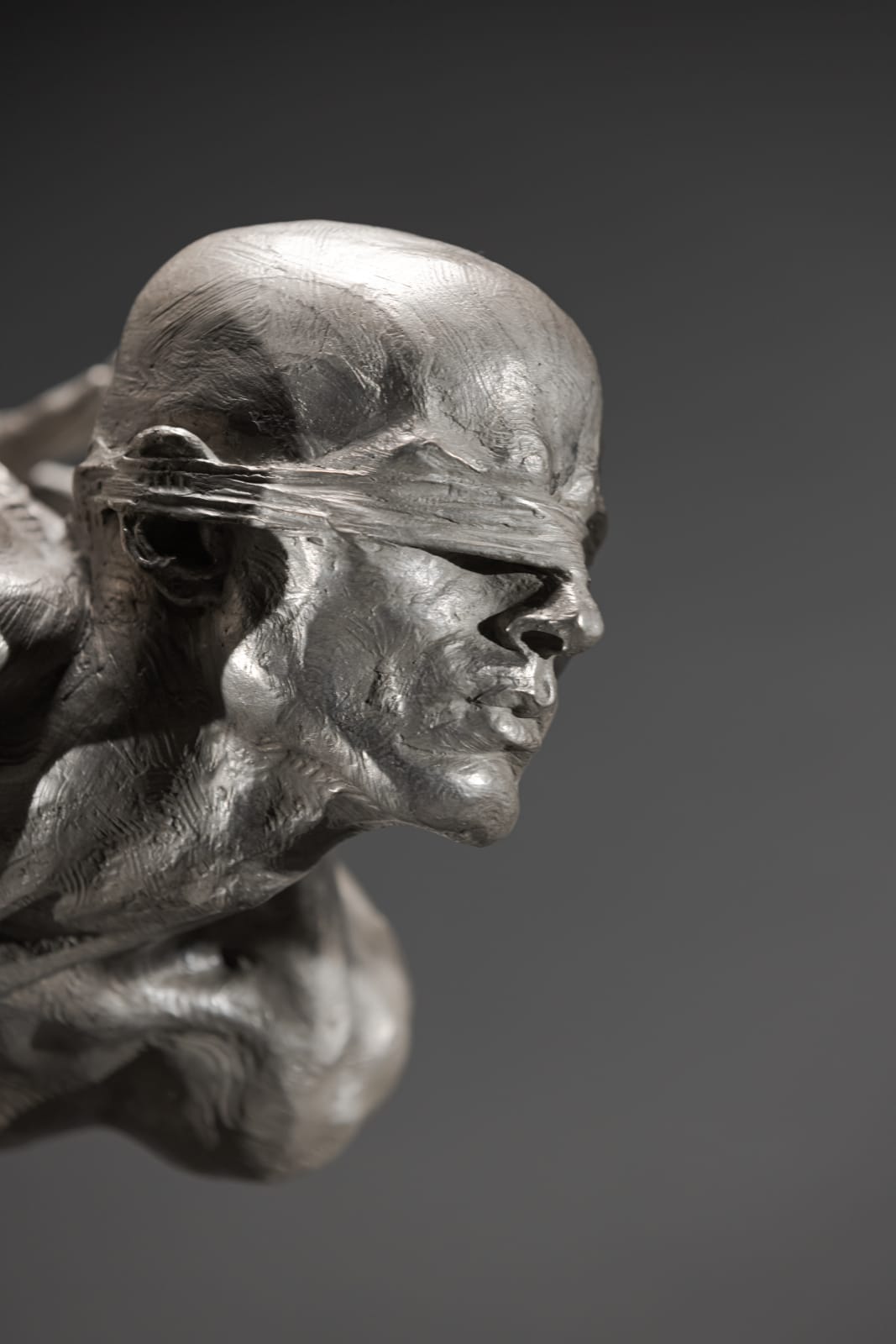 Richard MacDonald, Blind Trust, Half Life Platinum , 2020