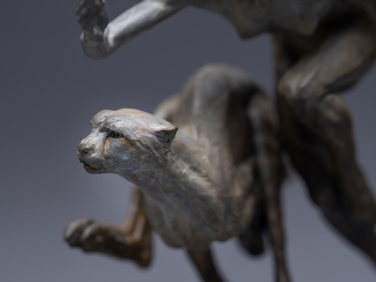 Richard MacDonald, NEW RELEASE: Diana & The Female Cheetah, Atelier, 2024