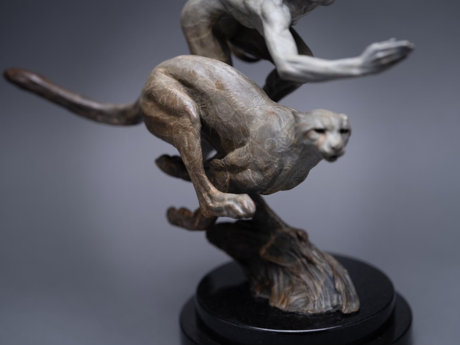 Richard MacDonald, NEW RELEASE: Diana & The Female Cheetah, Atelier, 2024