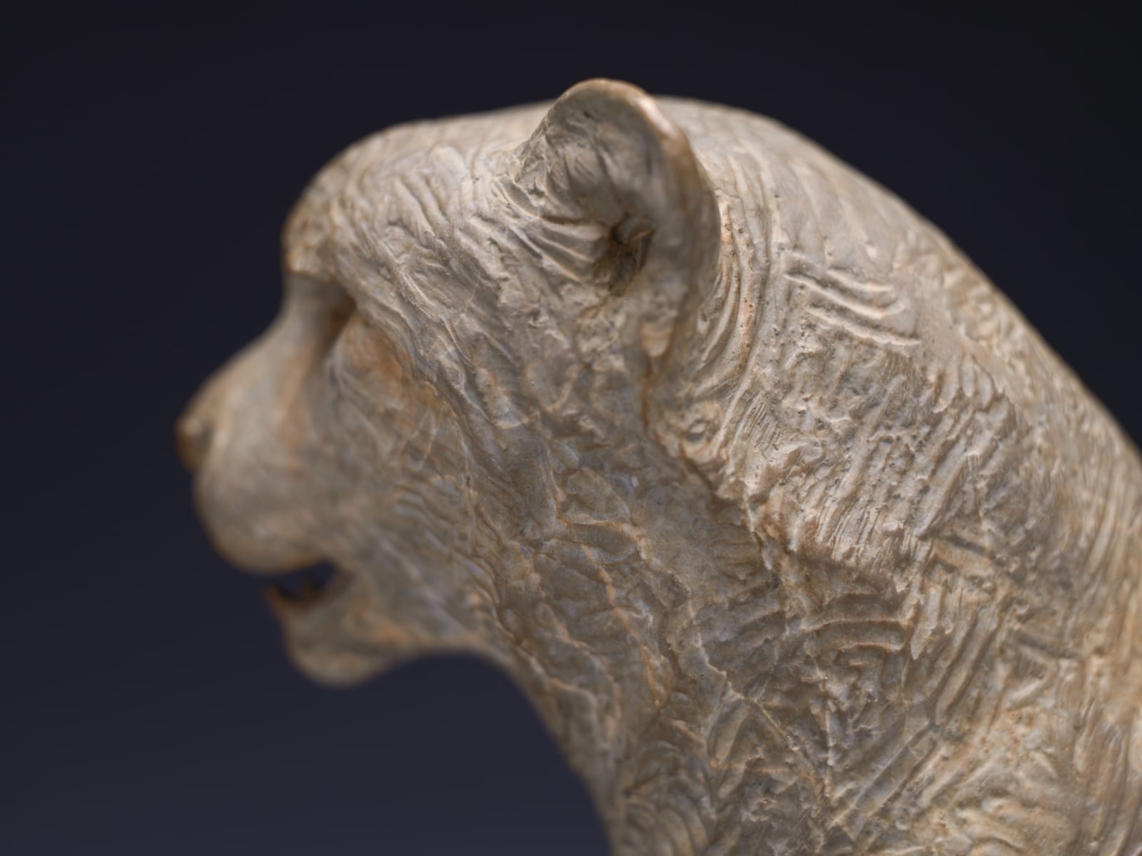 Richard MacDonald, Cheetah Bust, Atelier, 2024