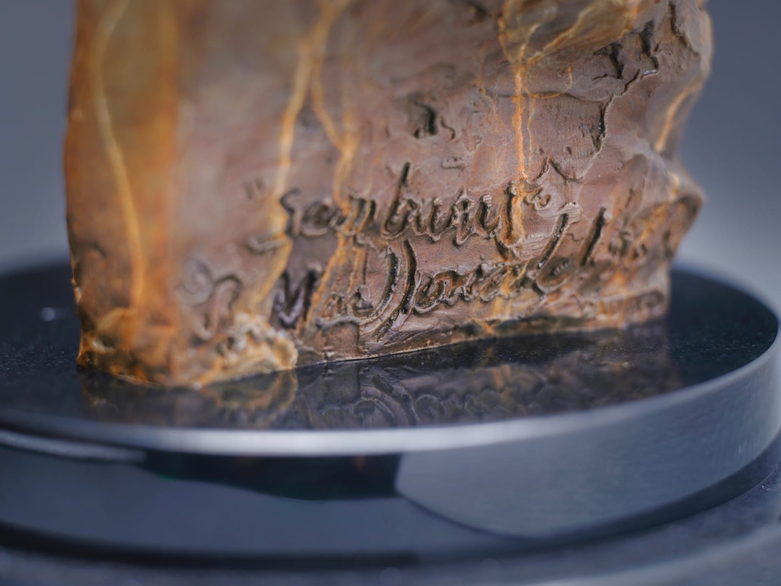 Richard MacDonald, Cheetah Bust, Atelier, 2024