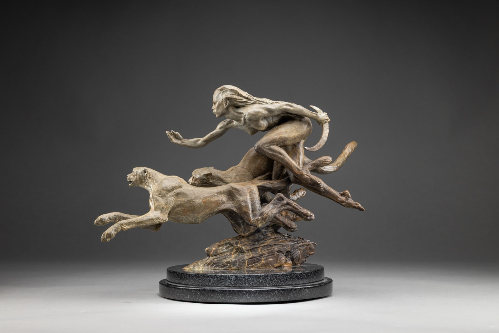 Richard MacDonald, Diana & The Coursing Cheetahs, Atelier , 2024