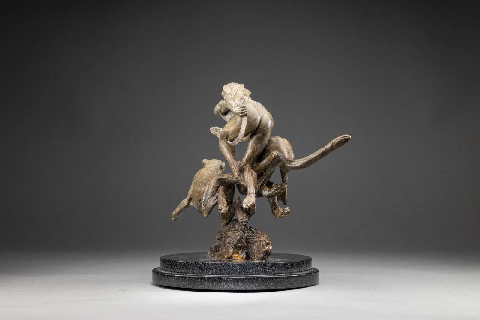 Richard MacDonald, Diana & The Coursing Cheetahs, Atelier , 2024