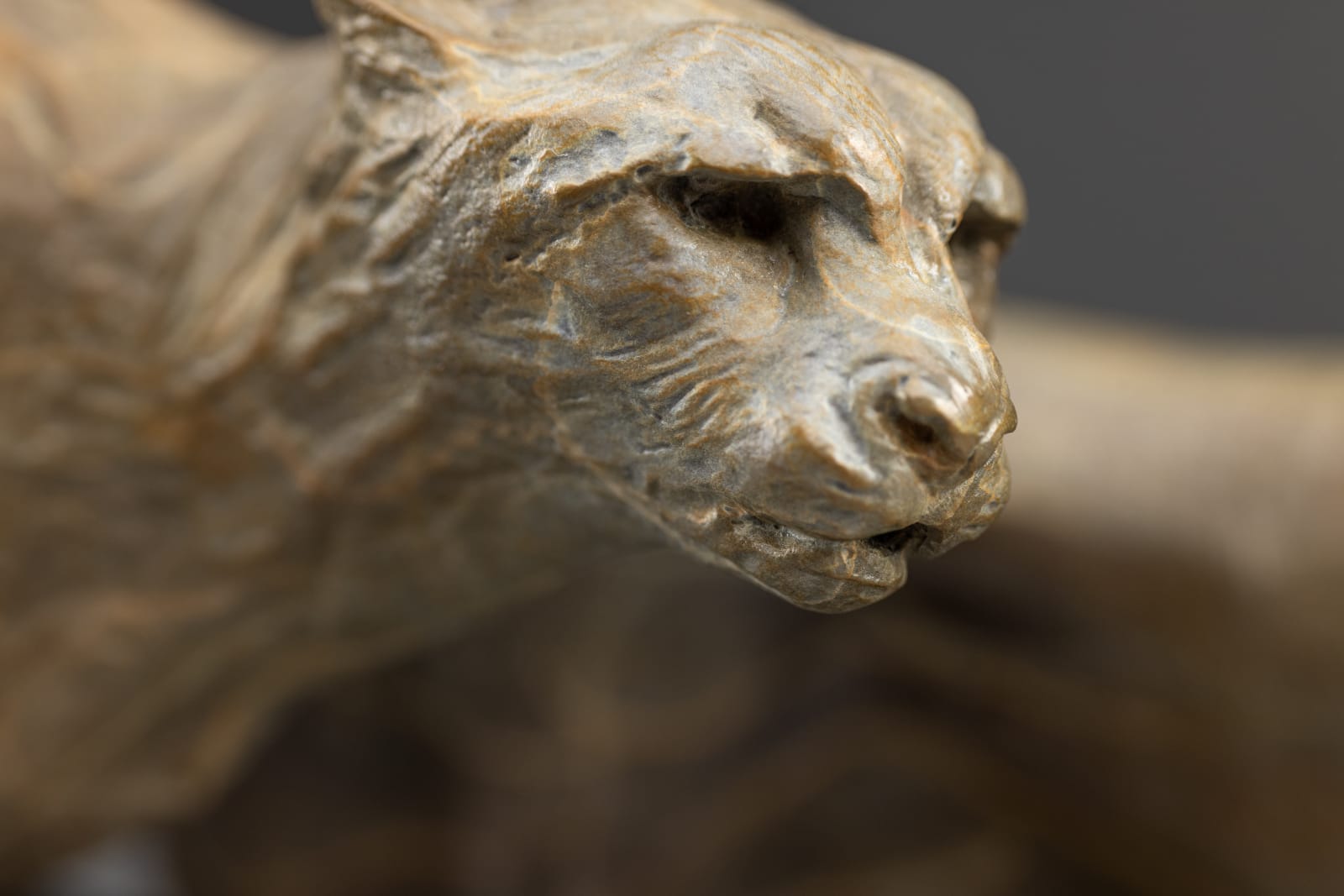 Richard MacDonald, Diana & The Coursing Cheetahs, Atelier , 2024