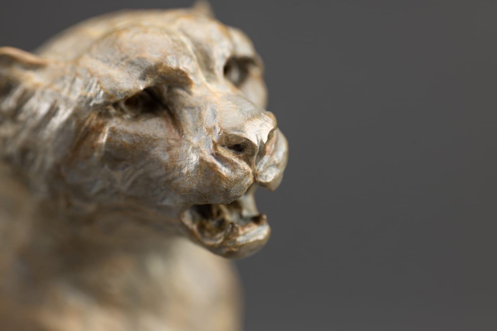 Richard MacDonald, Diana & The Coursing Cheetahs, Atelier , 2024