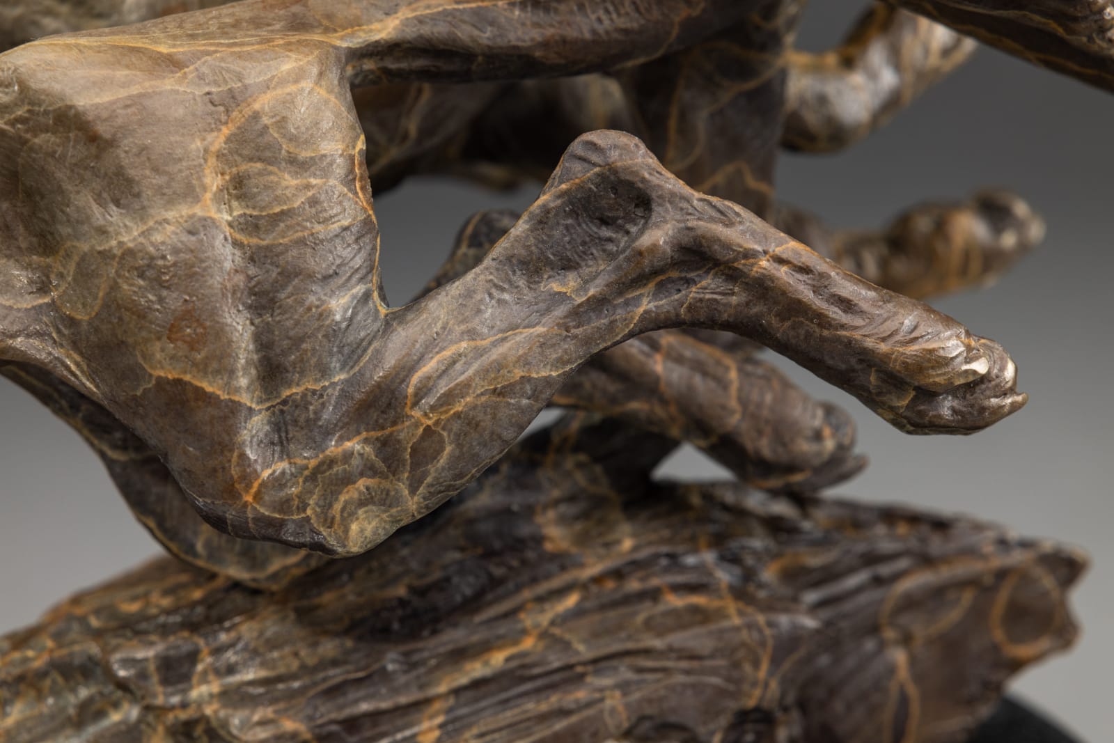 Richard MacDonald, Diana & The Coursing Cheetahs, Atelier , 2024