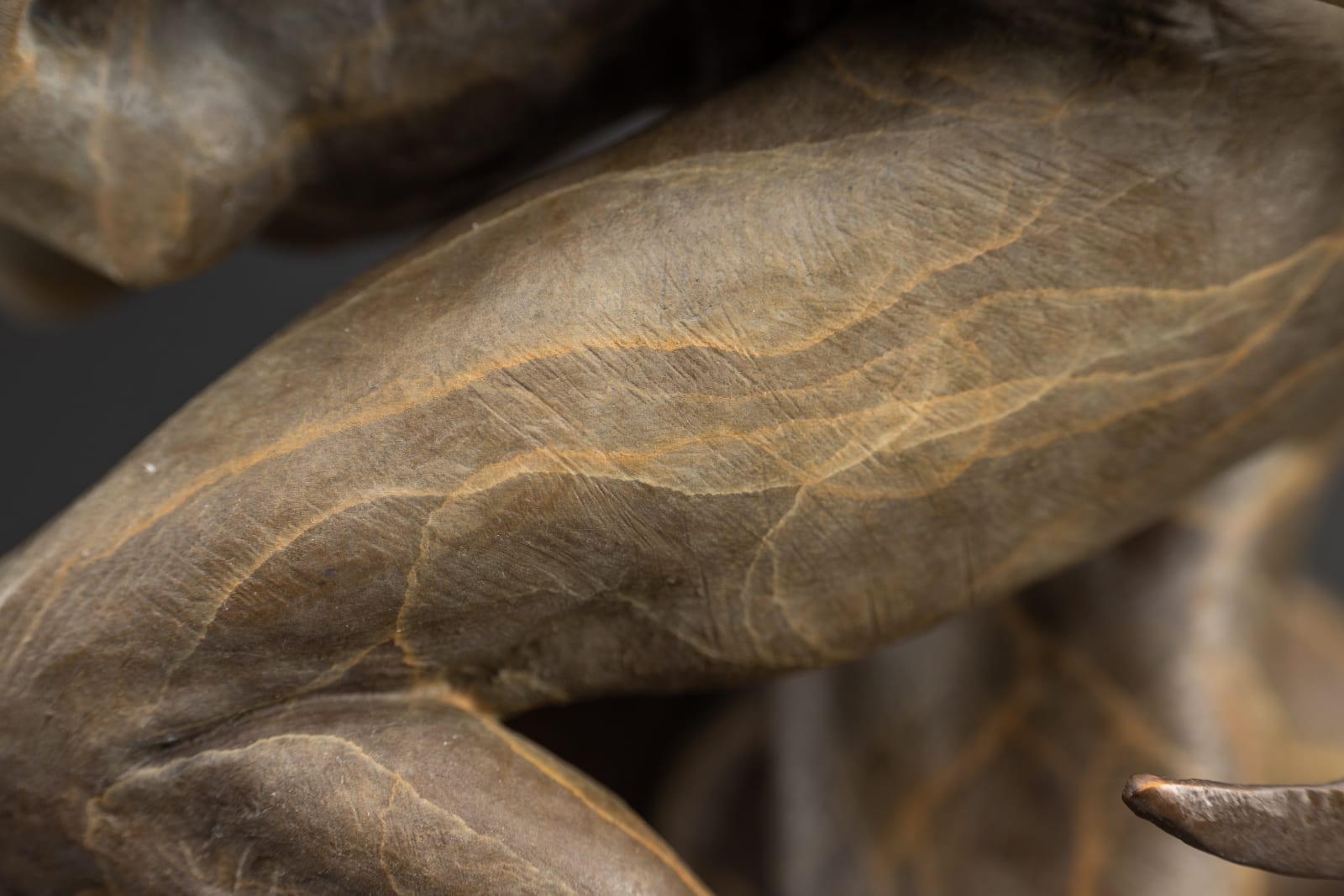 Richard MacDonald, Diana & The Coursing Cheetahs, Atelier , 2024