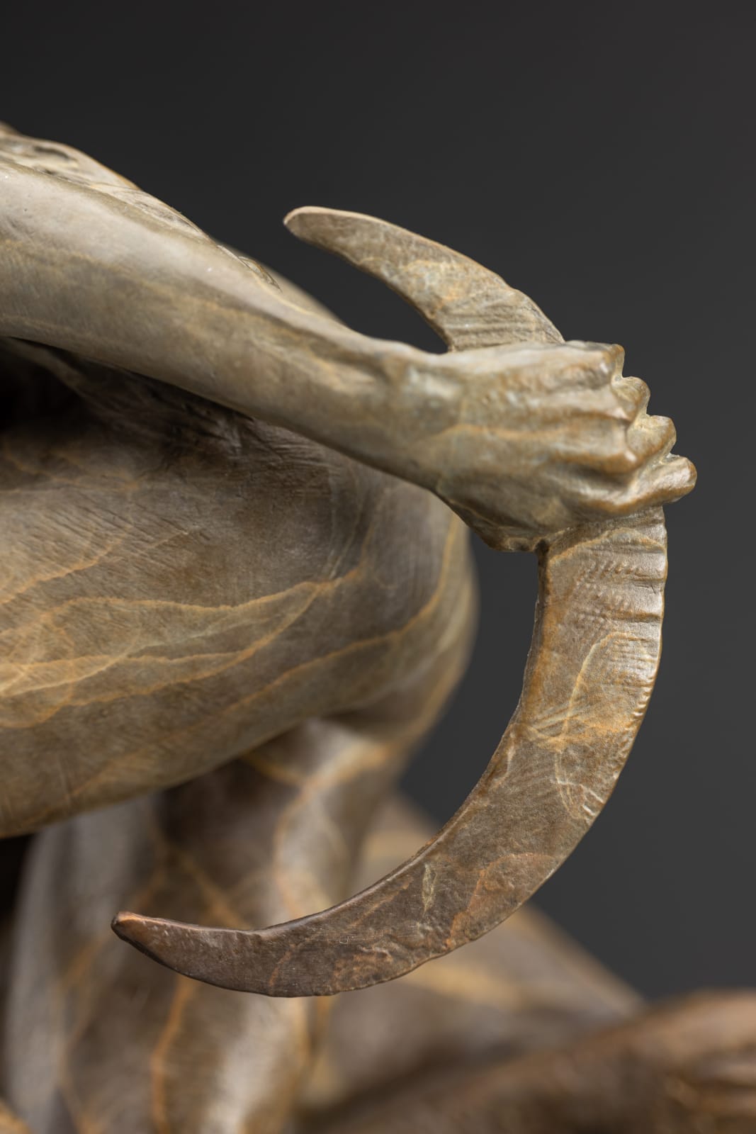 Richard MacDonald, Diana & The Coursing Cheetahs, Atelier , 2024