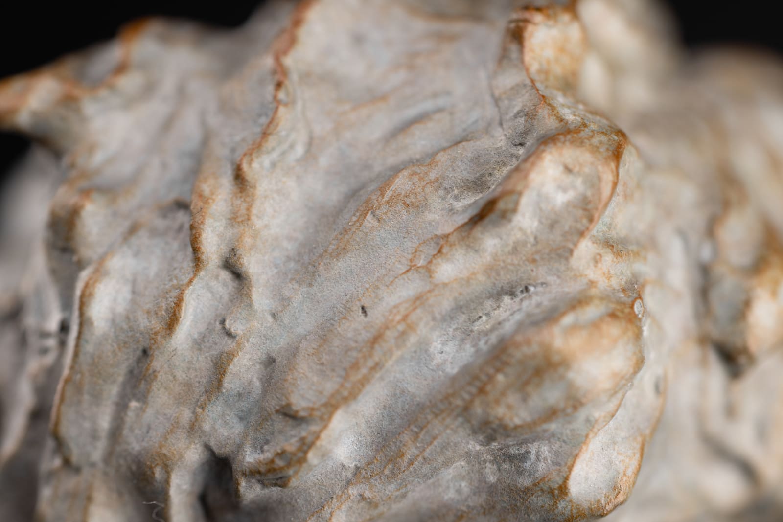 Richard MacDonald, NEW RELEASE: Sleep Marcel Sleep, Atelier, 2025