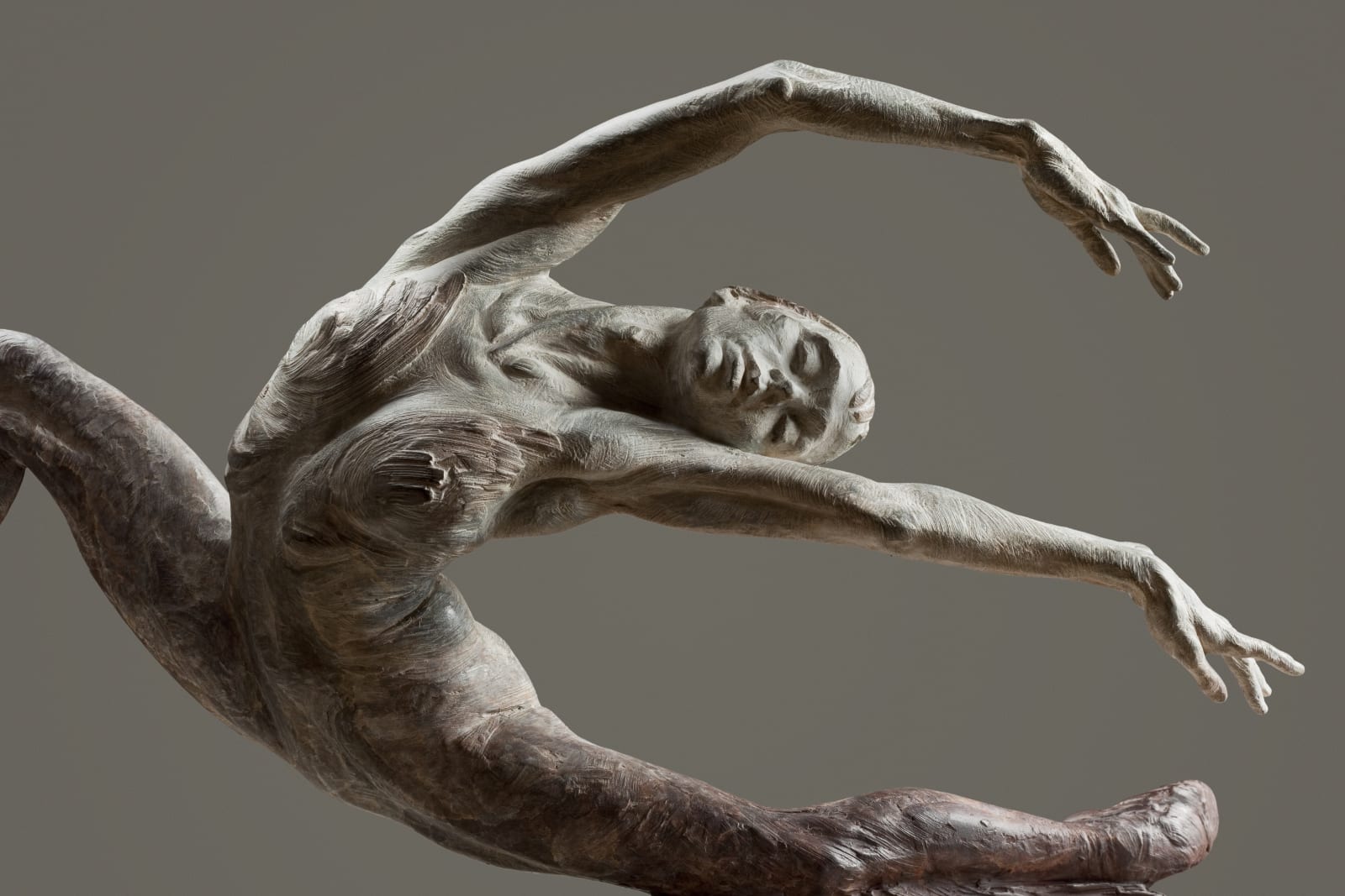 Richard MacDonald, Study for Swan Lake, 2009