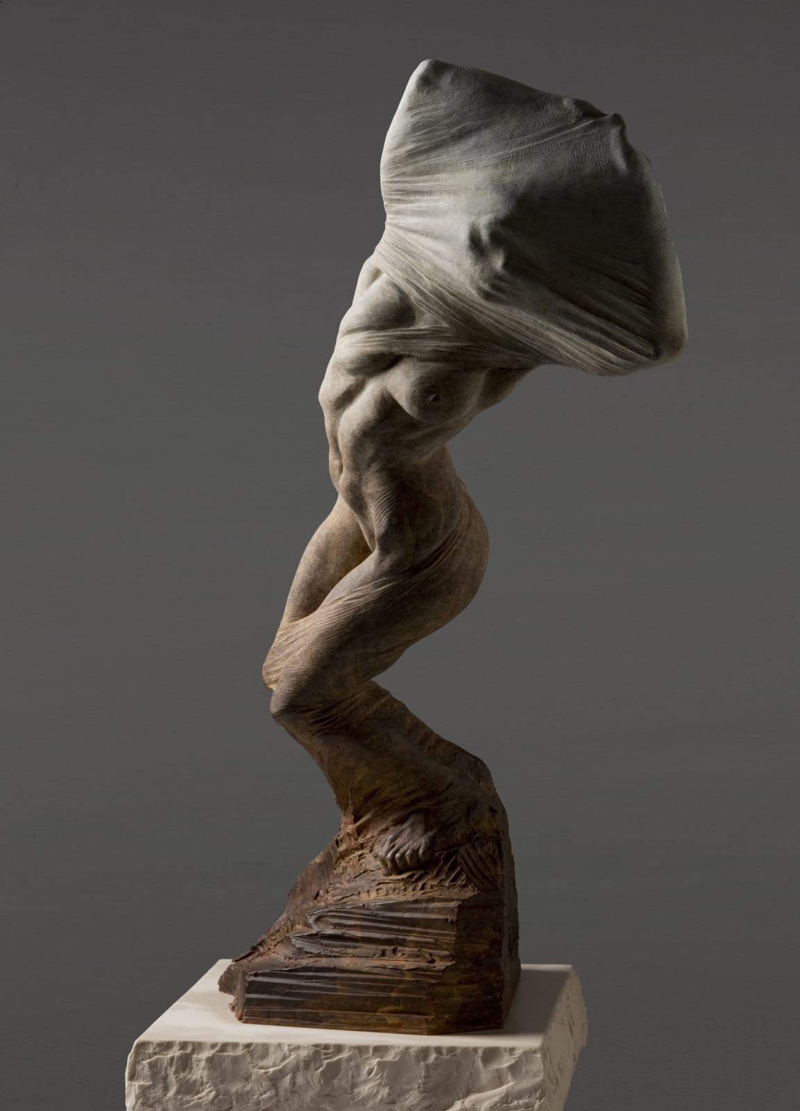 Richard MacDonald, Unveiling Nature, Third life, 2014