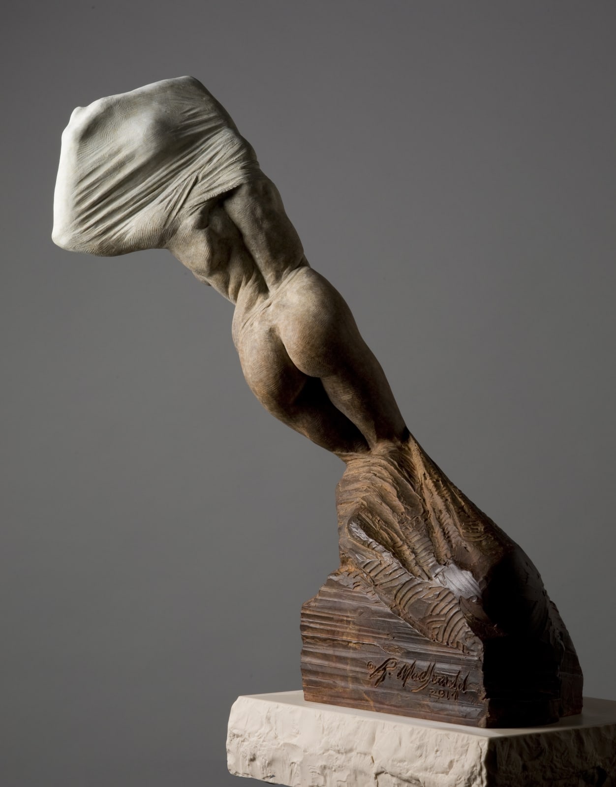 Richard MacDonald, Unveiling Nature, Third life, 2014