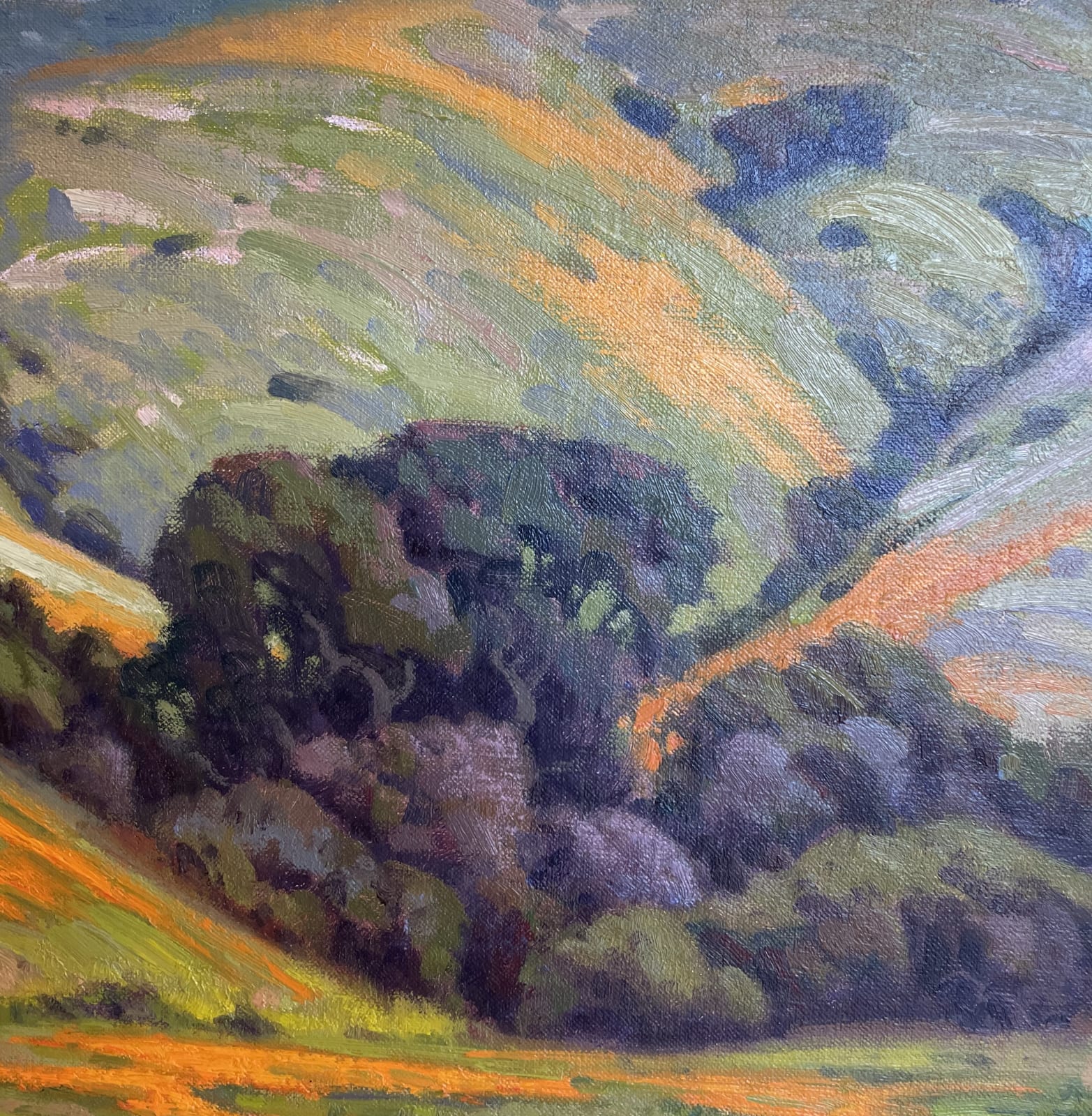 Jim Lamb, California Spring, 2015