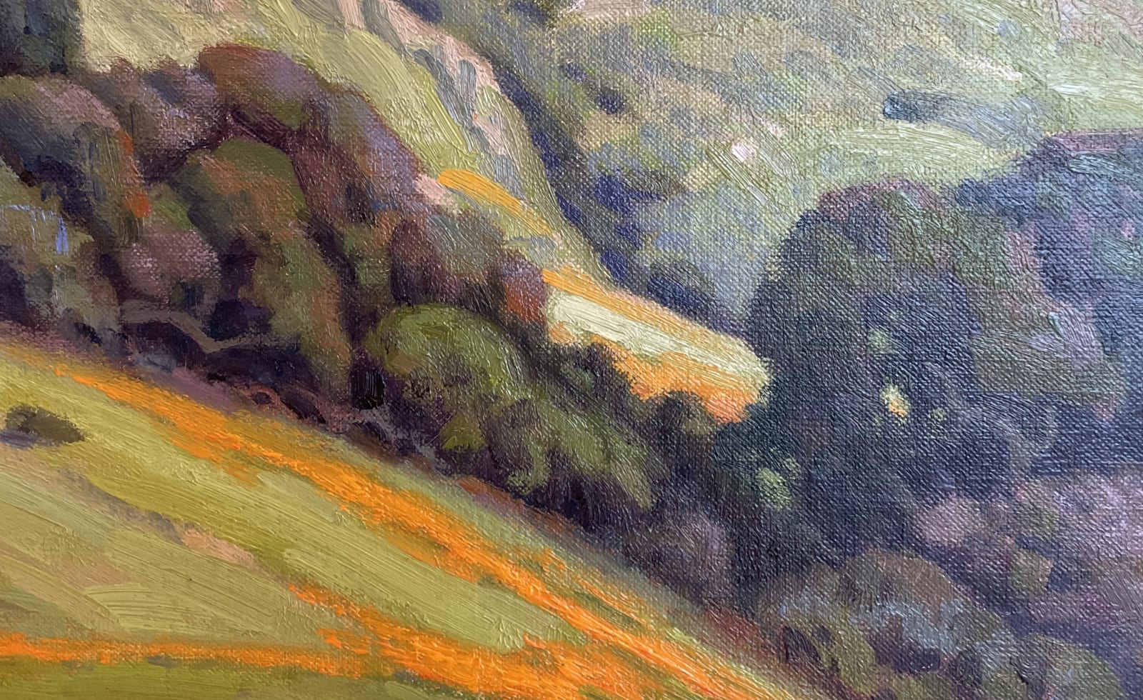 Jim Lamb, California Spring, 2015