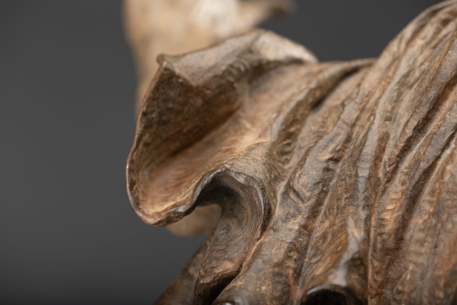 Richard MacDonald, Jacques, Half Life, 1997